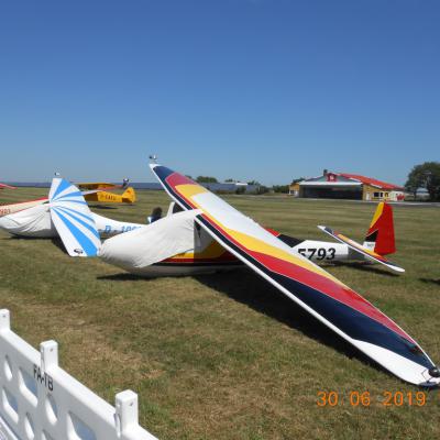 Wueflie2019 31