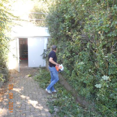 2021 Hecke 9