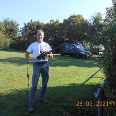 Hecke schneiden